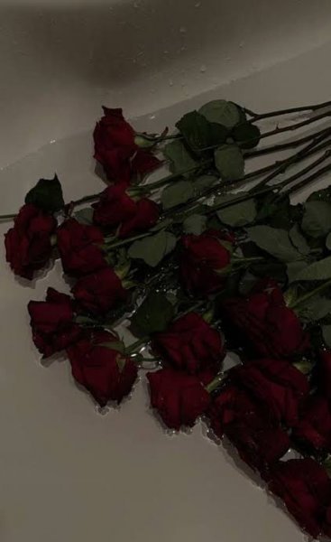  والپیپر گل رز