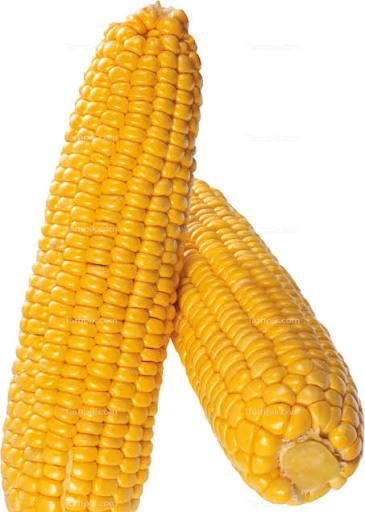 عکس بلال
