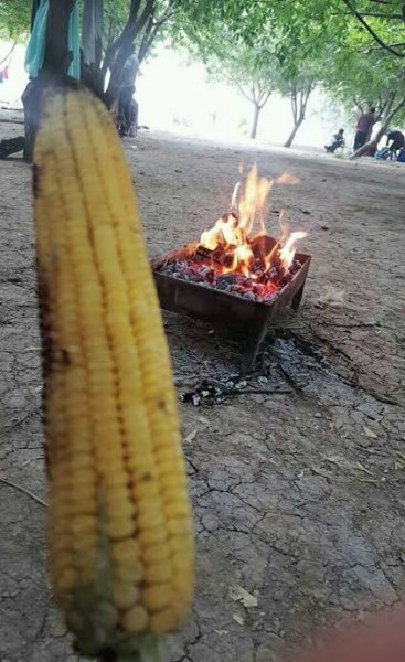  عکس بلال