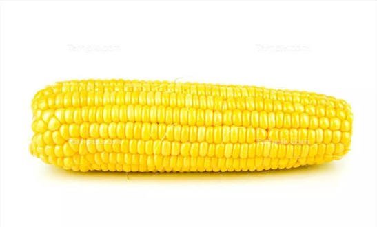  عکس بلال
