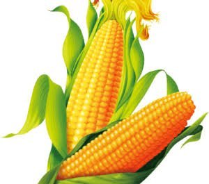  عکس بلال