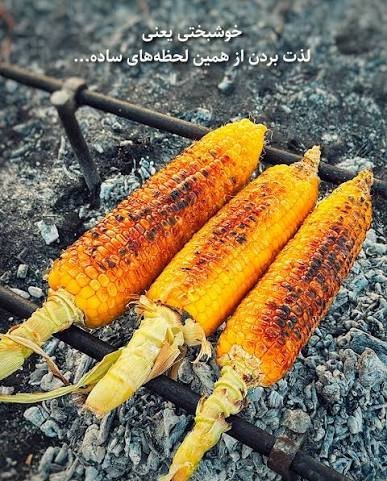  عکس ذرت بلال روی آتش