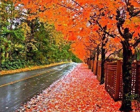 عکس زیبایی پاییزی با کیفیت اچ دی برای پروفایل