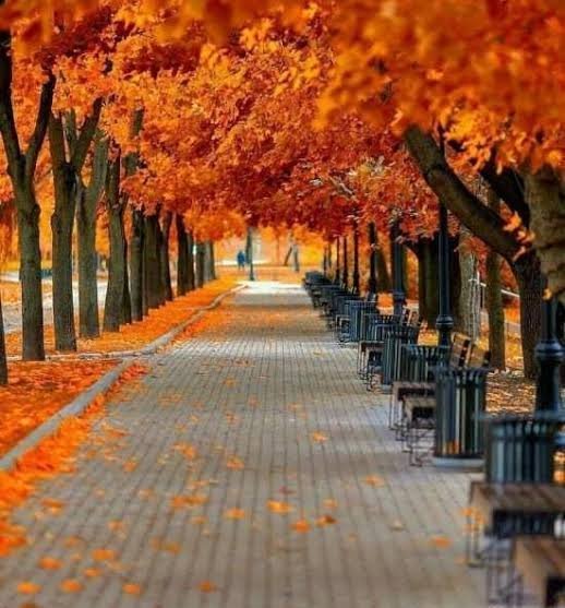  عکس زیبایی پاییزی با کیفیت اچ دی برای پروفایل
