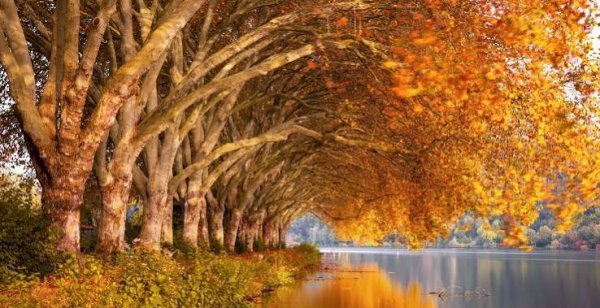  عکس زیبایی پاییزی با کیفیت اچ دی برای پروفایل