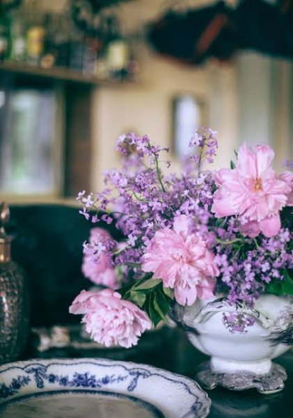  عکس گل های زیبا با کیفیت اچ دی
