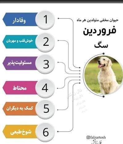  عکس حیوان ماه تولد