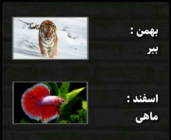  عکس حیوان ماه تولد بهمن