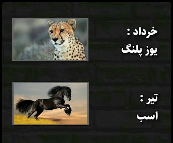  عکس حیوان ماه تولد خرداد