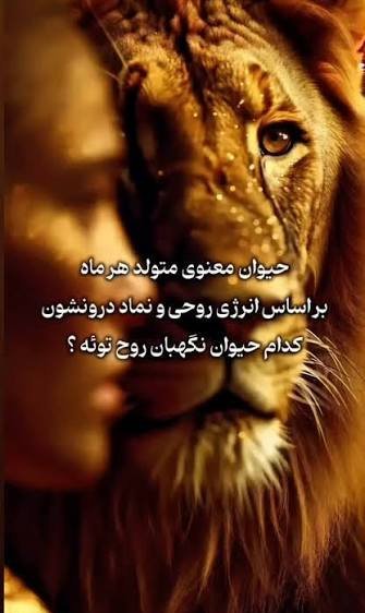 عکس حیوان ماه تولد خرداد