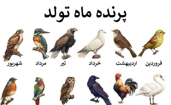  عکس حیوان ماه تولد خرداد