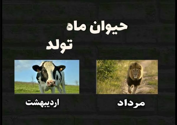  عکس حیوان ماه تولد فروردین