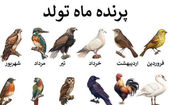  عکس حیوان ماه تولد فروردین
