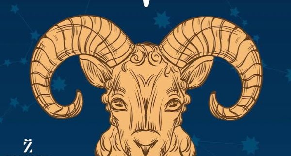  عکس حیوان ماه تولد فروردین