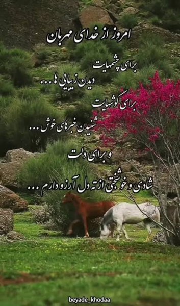  طالع بینی عشق امروز شنبه