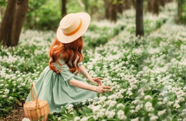  عکس گل‌های زیبا برای پروفایل بهاری و زنانه