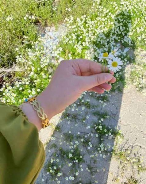  عکس گل‌های زیبا برای پروفایل بهاری و زنانه