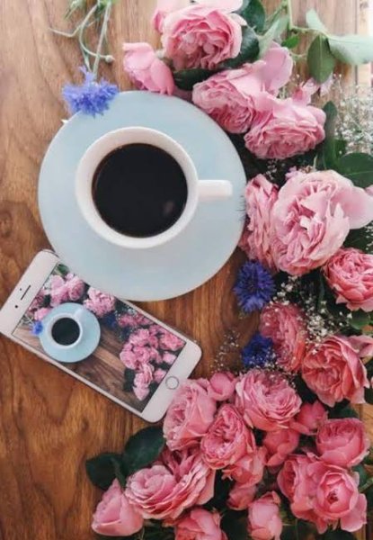  عکس گل‌های زیبا برای پروفایل بهاری و زنانه