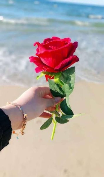  عکس گلهای بسیار زیبای جهان برای پروفایل