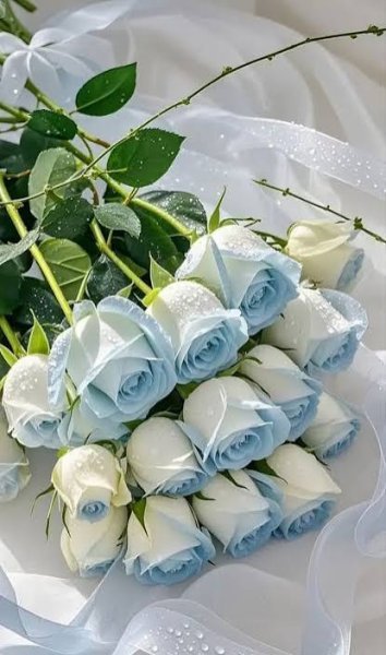  عکس گلهای بسیار زیبای جهان برای پروفایل