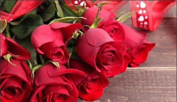  عکس گلهای بسیار زیبای جهان برای پروفایل