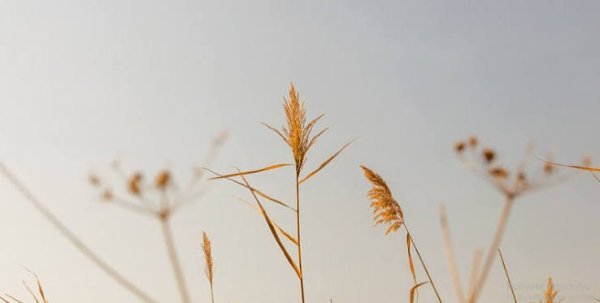  عکس مینیمال و هنری با کیفیت بالا
