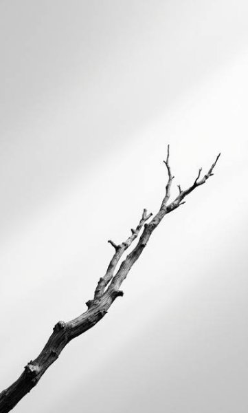 عکس مینیمال و هنری با کیفیت بالا
