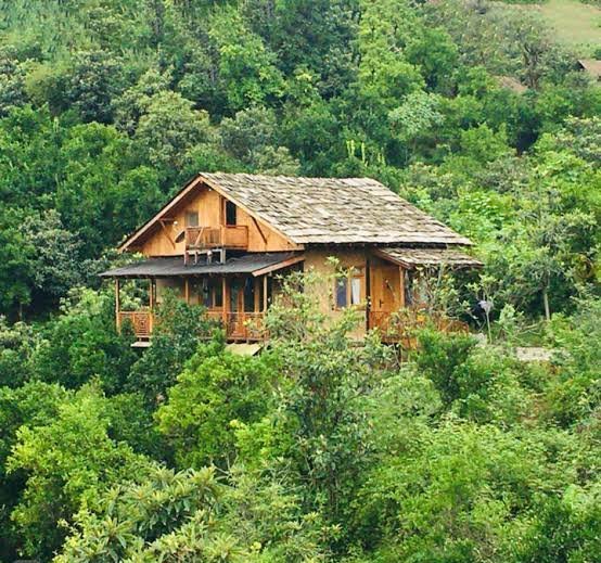 عکس کلبه جنگلی با کیفیت اچ دی