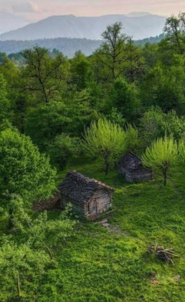  عکس کلبه جنگلی با کیفیت اچ دی