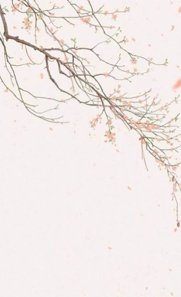 عکس صفحه رنگی ساده