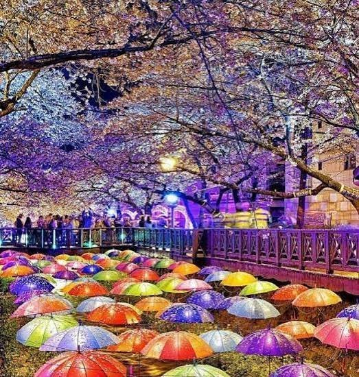  عکس های رنگی فانتزی