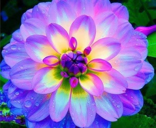  عکس های رنگی فانتزی