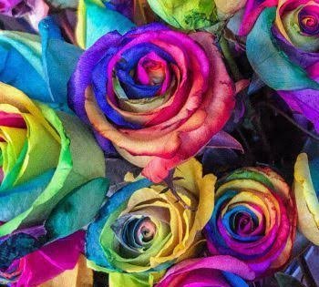  عکس رنگی ساده برای پروفایل