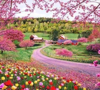  عکس رنگی ساده برای پروفایل