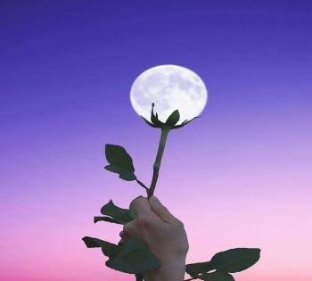  عکس رنگی ساده برای پروفایل