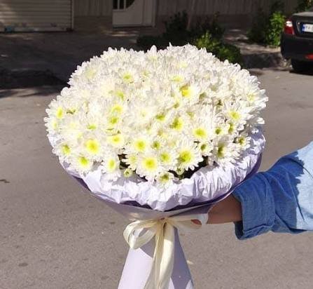  عکس دسته گل داودی سفید با کیفیت بالا