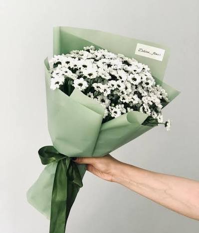  عکس دسته گل داودی سفید با کیفیت بالا