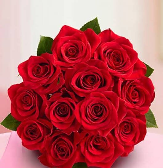  عکس گل زیبا جدید