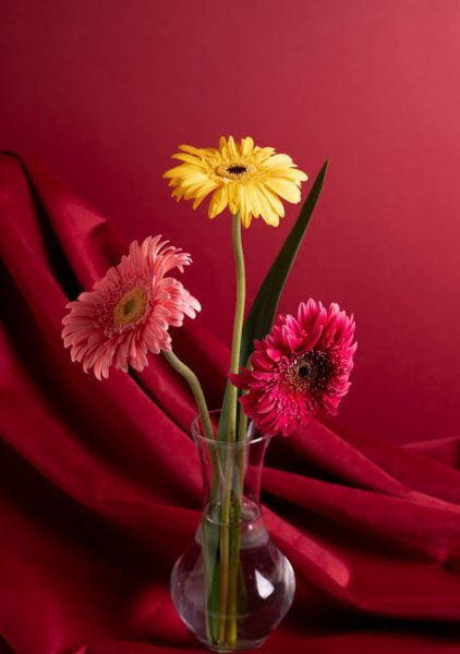  عکس گل زیبا جدید