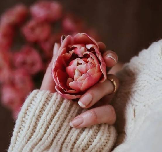  عکس گل زیبا جدید