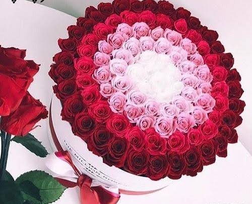  عکس گل زیبا جدید