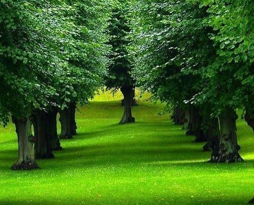  عکس بهشت رویایی با کیفیت فول اچ دی برای دانلود