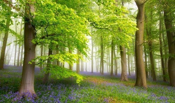  عکس بهشت رویایی با کیفیت فول اچ دی برای دانلود