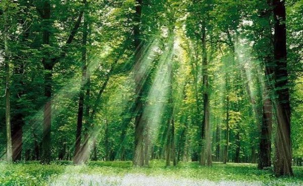  عکس بهشت رویایی با کیفیت فول اچ دی برای دانلود