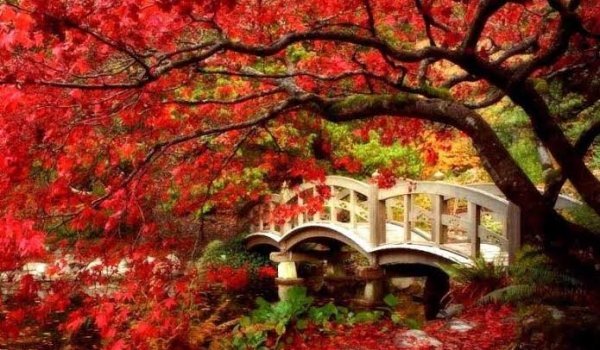  عکس بهشت رویایی با کیفیت فول اچ دی برای دانلود