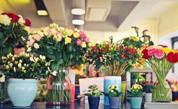  تصویر گل فروشی با گل های تازه با کیفیت بالا