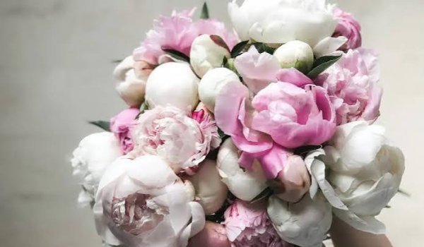  اسم انواع گل طبیعی با عکس