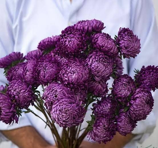  اسم انواع گل طبیعی با عکس