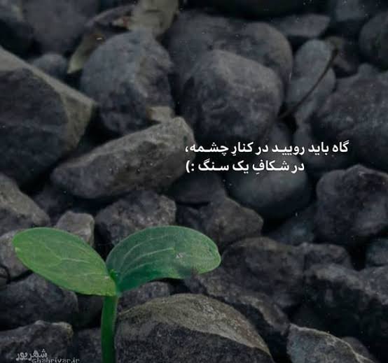  عکس انگیزشی با جملات مثبت