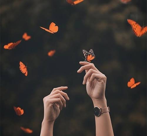  مدل عکس برای پروفایل اینستاگرام